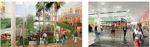 TAC Svenska AB kommer att projektera och installera utrustning för fastighetsautomation i den nya miljardsatsningen Sollentuna Centrum.