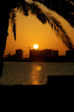 Early morning in Doha.