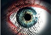 I 2015 var den gennemsnitlige pris for en biometrisk læser i Amerika dobbelt så højt som for en smart card-læser, og fire gange højere end en proximity-læser. 
