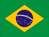 Det brasilianske sikringsmarked er størst