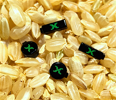 No bigger than a grain of rice, the new XXS series of RFID tags is designed to deliver an impressive size-to-performance ratio with a read performance of up to two feet. 