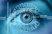 Iris-scanning bliver mere og mere almindelige inden for bank- og finans-, militær- og forsvarsmyndigheder samt inden for ID-sikkerhed og adgangskontrol i forbindelse med rejser og migration.