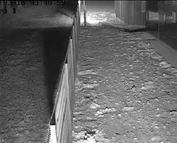 GJD Clarius IR lighting makes everything visible in near pitch black conditions