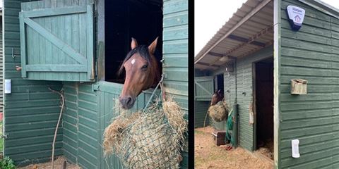 The Optex 180-degree detection sensors are suited for protecting larger residential grounds and flat roofs typical with outbuilding on farms and stables.
